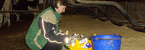 Photo of researcher at work